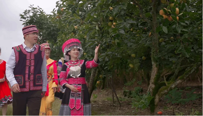 HB火博·(中国)体育有限公司官网