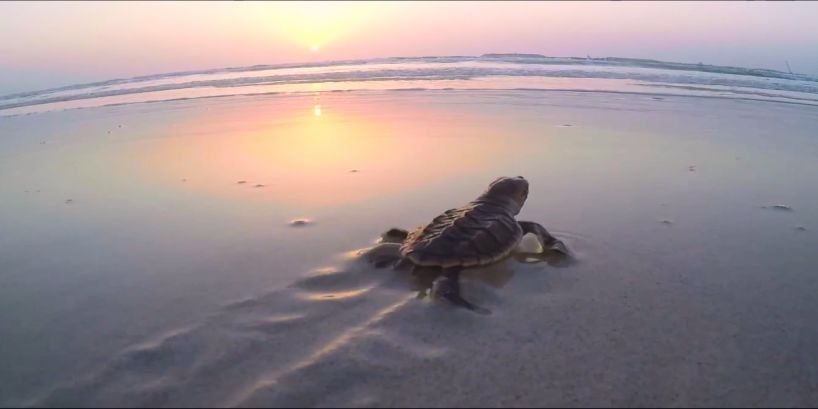 HB火博·(中国)体育有限公司官网