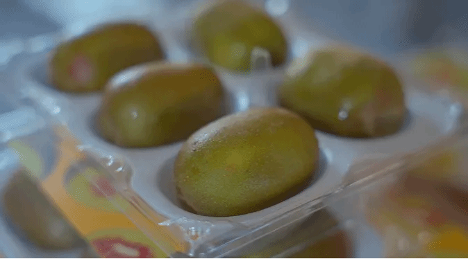 HB火博·(中国)体育有限公司官网