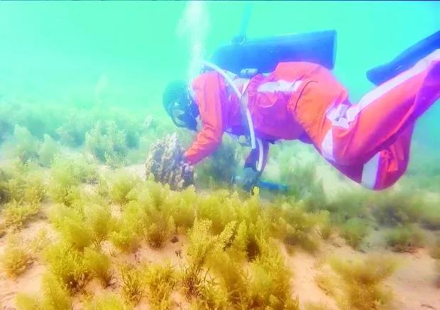 HB火博·(中国)体育有限公司官网